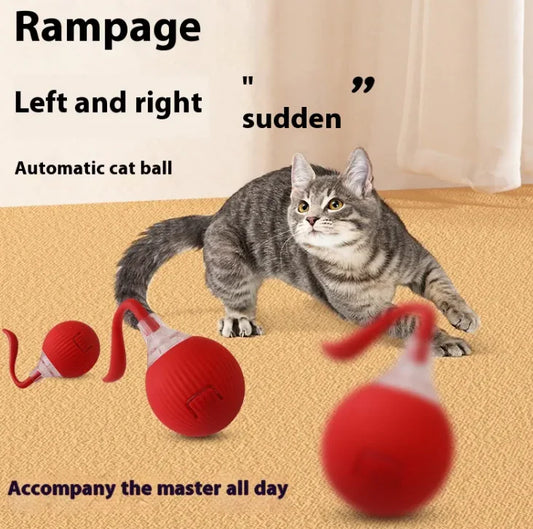 Rolling Fun Cat Toy Ball