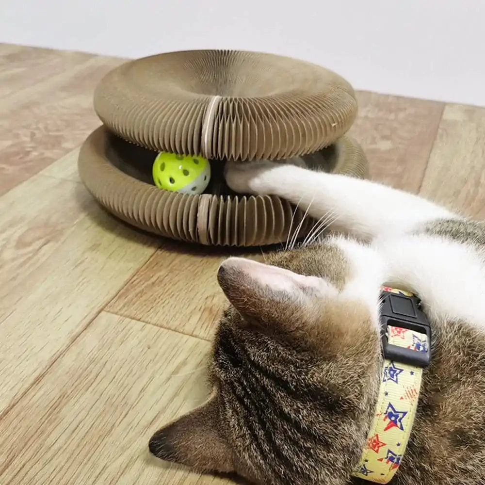 Foldable Cat Scratch Board Toy